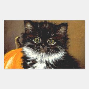 Vintage Schwarz-Weiß-Halloween-Katze Rechteckiger Aufkleber
