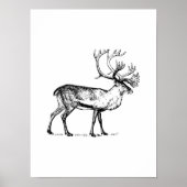 Vintage Schwarz-Weiß-Rentierwand Ar Poster (Vorne)