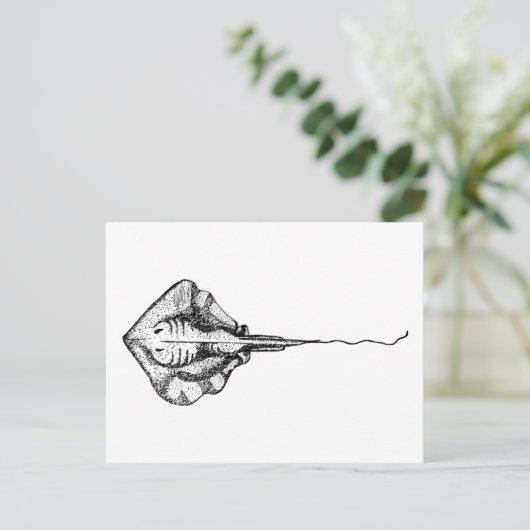 Vintage Schwarz-Weiß-Stingray-Illustration Postkarte (Stehend Vorderseite)