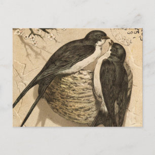 Vintage Schwarz Weiß Süße Liebesvögel Malerei Postkarte