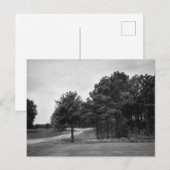Vintage Schwarz-Weiß-Wälder-Postkarte Postkarte (Vorne/Hinten)