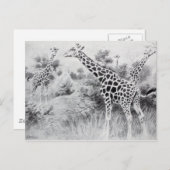 Vintage Schwarz-Weiß-Zeichnend Giraffe Postkarte (Vorne/Hinten)