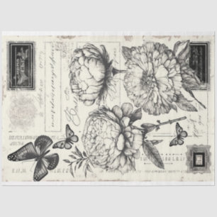Vintage schwarz-weiße Bäuche und Schmetterlinge Seidenpapier