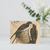 Vintage Schwarz-weiße Niedliche Vogelmalerei Postkarte (Stehend Vorderseite)