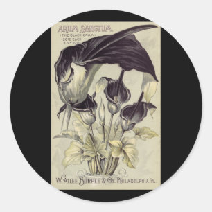 Vintage Schwarze Calla-Lilien Runder Aufkleber