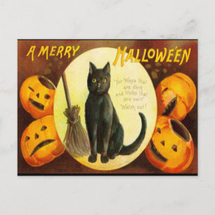 Vintage-Schwarze-Katze-Blut-Text-Halloween-Party-E Einladungspostkarte