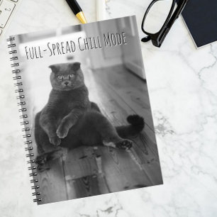 Vintage Schwarze Katze Chilling Notizbuch Notizblock