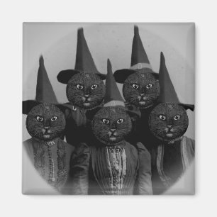 Vintage schwarze Katze/Hexen Magnet