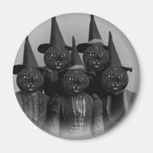 Vintage schwarze Katze/Hexen Magnet