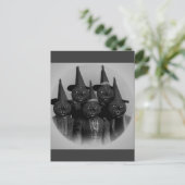 Vintage schwarze Katze/Hexen Postkarte (Stehend Vorderseite)