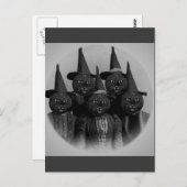 Vintage schwarze Katze/Hexen Postkarte (Vorne/Hinten)