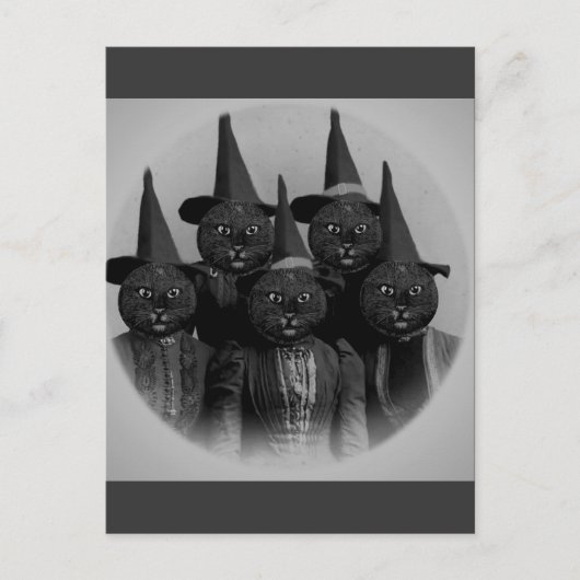 Vintage schwarze Katze/Hexen Postkarte (Vorderseite)