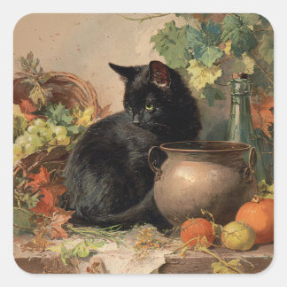 Vintage schwarze Katze im Herbst Früchte Quadratischer Aufkleber