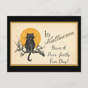 Vintage Schwarze Katze Postkarte