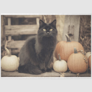 Vintage schwarze Katze und Pumpkins Dekoupage Seidenpapier