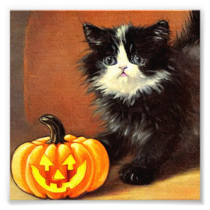 Vintage-schwarze-und-weiße-Halloween-Kätzchen Fotodruck