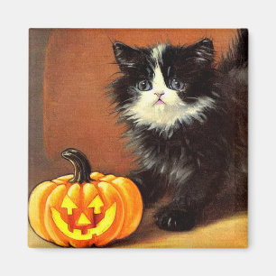 Vintage-schwarze-und-weiße-Halloween-Kätzchen Magnet