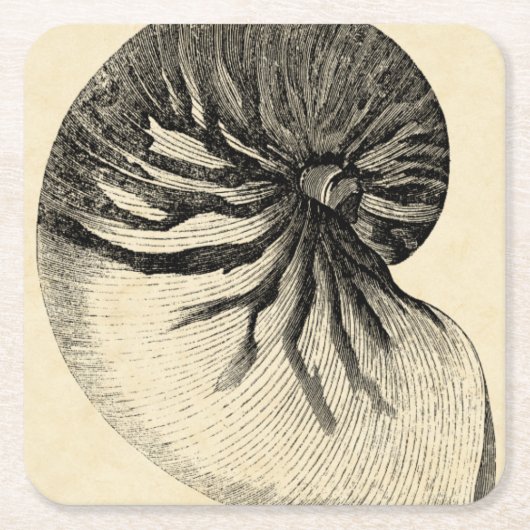 Vintage Schwarzweiss-Tritonshorn-Muschel Rechteckiger Pappuntersetzer (Vorderseite)