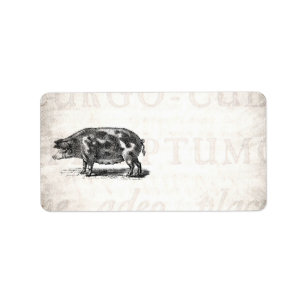 Vintage Schwein-Illustration auf altem Papier1800s Adressaufkleber