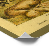 Vintage Schweine Hog Boar Naturgeschichte Print Poster (Ecke)