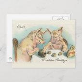 Vintage Schweine Postkarte (Vorne/Hinten)