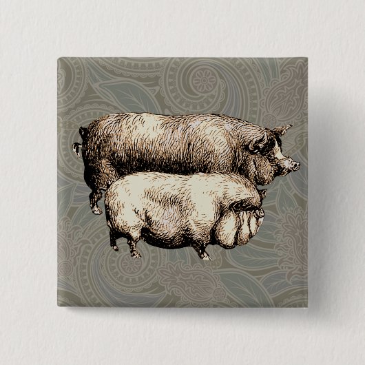 Vintage Schweine, zeichnend antike Schweine Button (Vorderseite)