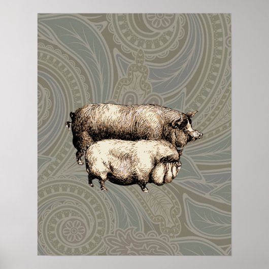 Vintage Schweine, zeichnend antike Schweine Poster (Vorne)