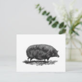 Vintage Schweineätzkarte Postkarte (Stehend Vorderseite)
