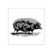 Vintage Schweineätzung Gummistempel (Prägung)