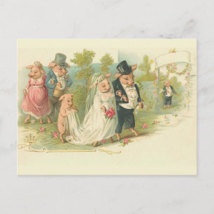 Vintage Schweinehaltung Postkarte