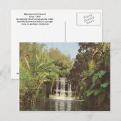 Vintage Schweitzerfälle Postkarte (Vorne/Hinten)