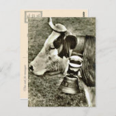 Vintage Schweiz Kuh- und Kuhglocke Postkarte (Vorne/Hinten)