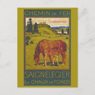 Vintage Schweiz Pferderückfahrt Bahn Postkarte