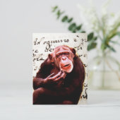 vintage scripts funny chimpanzee postkarte (Stehend Vorderseite)