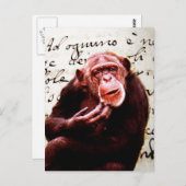 vintage scripts funny chimpanzee postkarte (Vorne/Hinten)