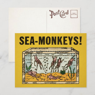 Vintage Sea Monkeys Postkarte 