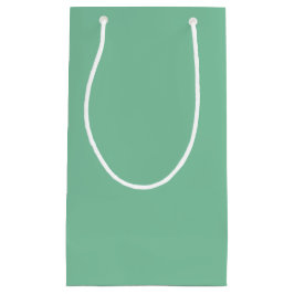 Vintage Seafoam Solid Color Kleine Geschenktüte