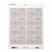 Vintage Seagulls, kundenspezifische Retro-Seagull- (Vorne)