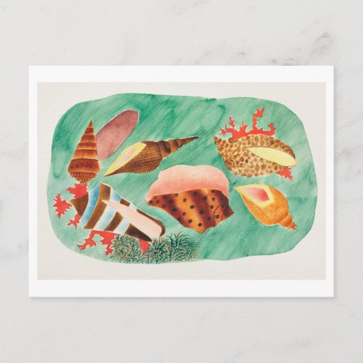 Vintage Seashell-Illustration Postkarte (Vorderseite)