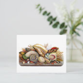 Vintage Seashell Print Postcard Postkarte (Stehend Vorderseite)