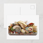 Vintage Seashell Print Postcard Postkarte (Vorne/Hinten)