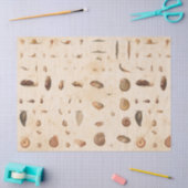 Vintage Seashell- und Snail-Dekoupage Seidenpapier (Basteln)