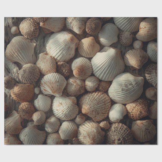 Vintage Seashells Beach Coastal Christmas Geschenkpapier (Flach)