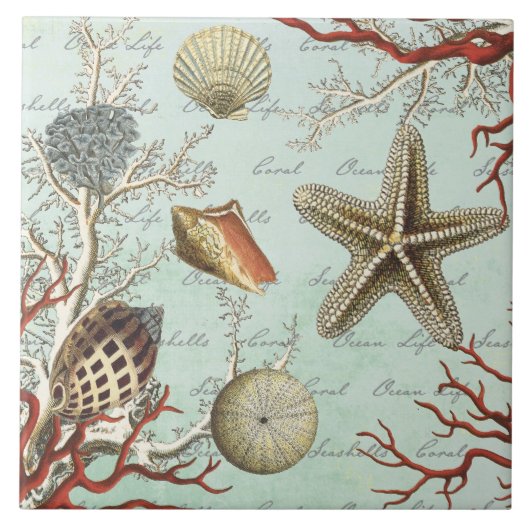 Vintage Seashells… Fliese (Vorderseite)