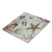 Vintage Seashells… Fliese (Seite)