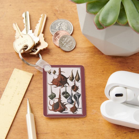 Vintage Seashells, Marine Life, Ocean Sea Shells Schlüsselanhänger (Schreibtisch)