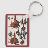 Vintage Seashells, Marine Life, Ocean Sea Shells Schlüsselanhänger (Rückseite)