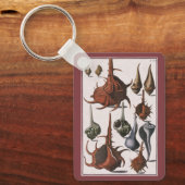 Vintage Seashells, Marine Life, Ocean Sea Shells Schlüsselanhänger (Vorderseite)