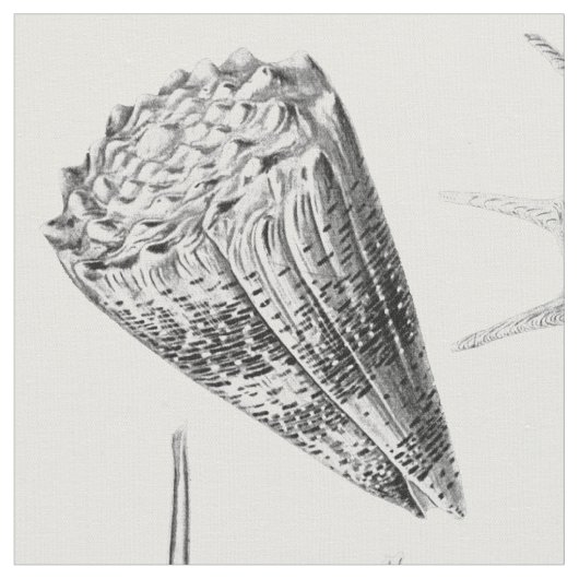 Vintage Seashells Stoff (Nahaufnahme)