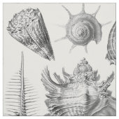 Vintage Seashells Stoff (Muster)